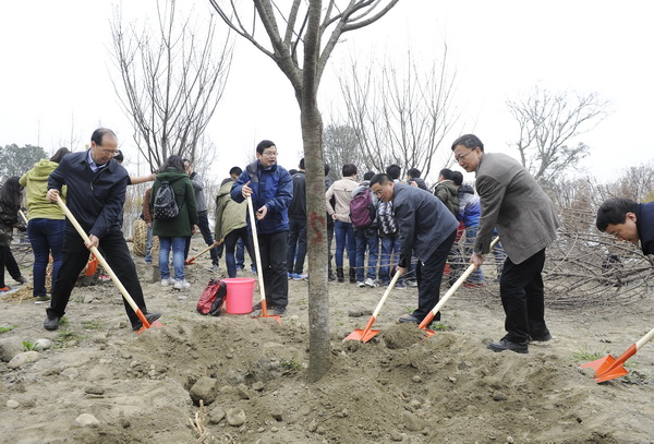 学校开展义务植树活动