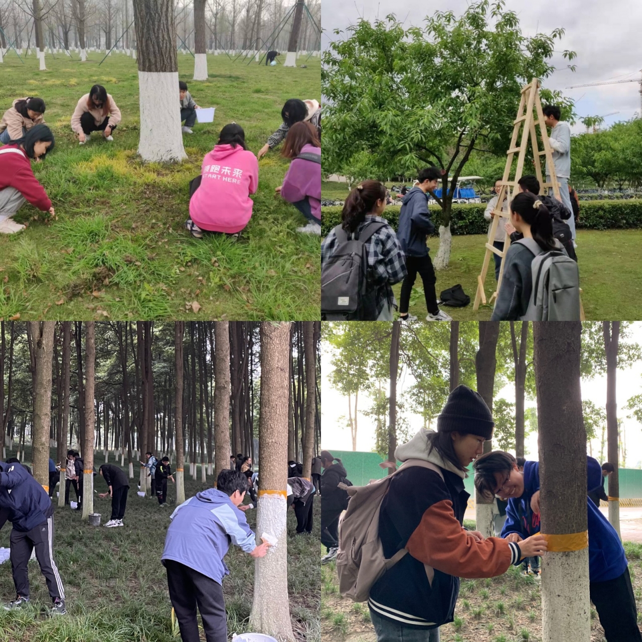 IMG_2902(20211222-101718).JPG IMG_2902(20211222-101718).JPG