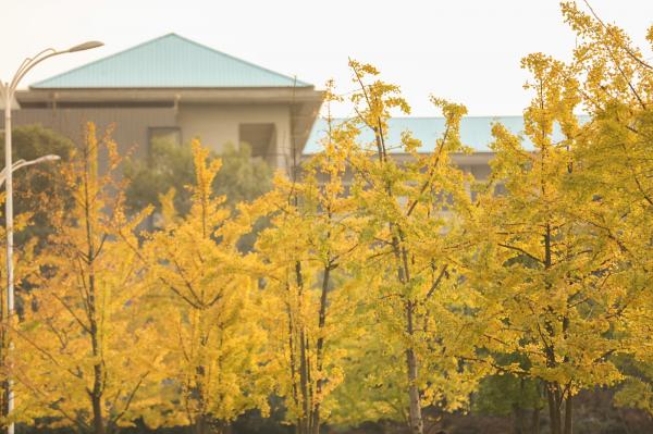 重大.jpg b1aa9c5e4aac3103649f0c15c8ed9b4f.jpg