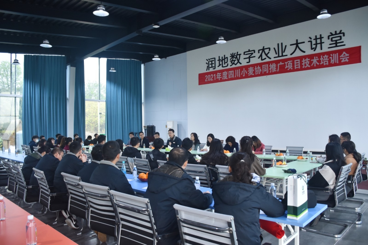 8 DSC_3619.jpg 8 DSC_3619.jpg