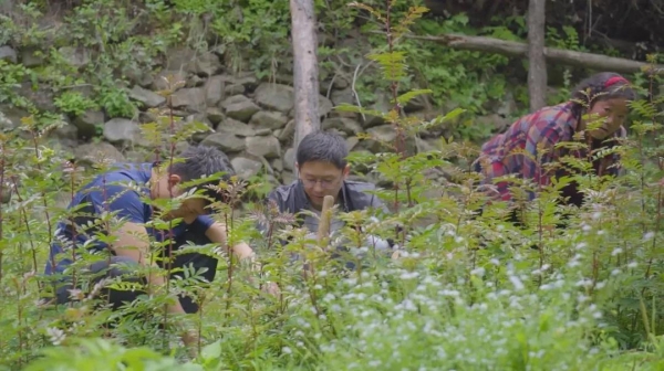 微信图片_20201016092240.jpg b291b980c0538e19f9c6079f3786c8d5.jpg