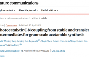 基础院董帆教授团队在Nature Communications发表自由基介导C-N偶联最新研究成果