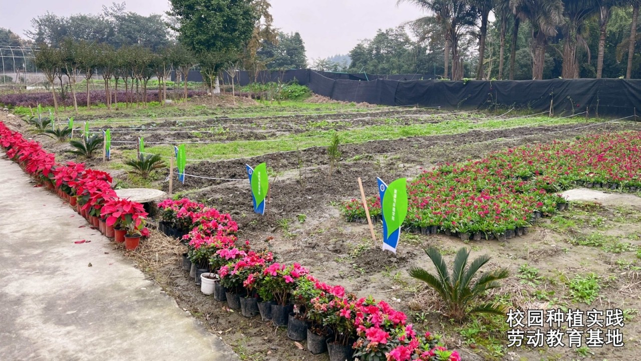 33c9ddb65659587d4f3dda5edac61f10.jpg 33c9ddb65659587d4f3dda5edac61f10.jpg