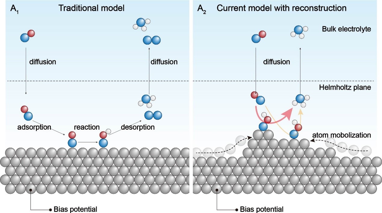 基础院董帆教授团队在Chem上发表重要展望