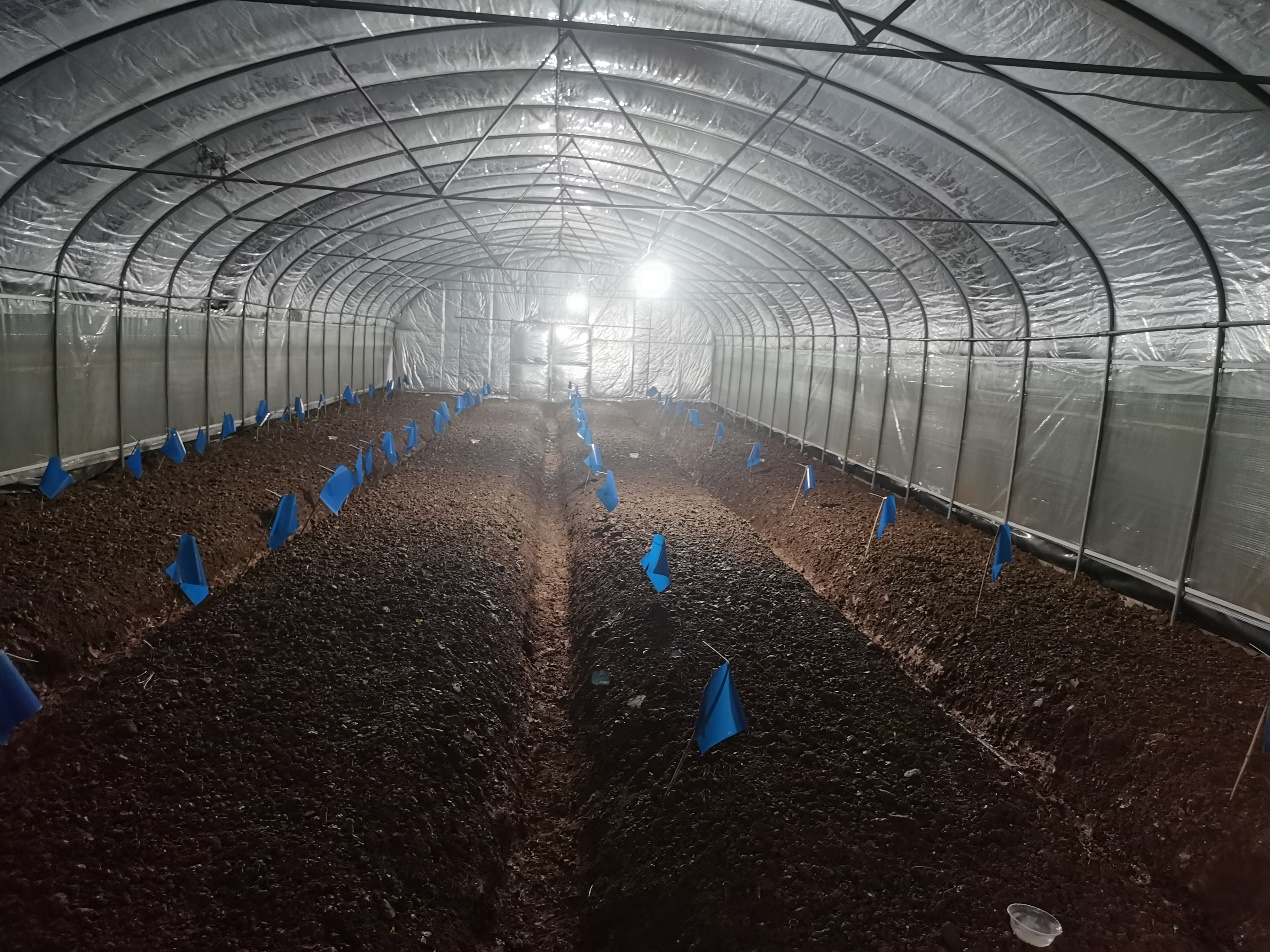 图片6.png 图片6.png