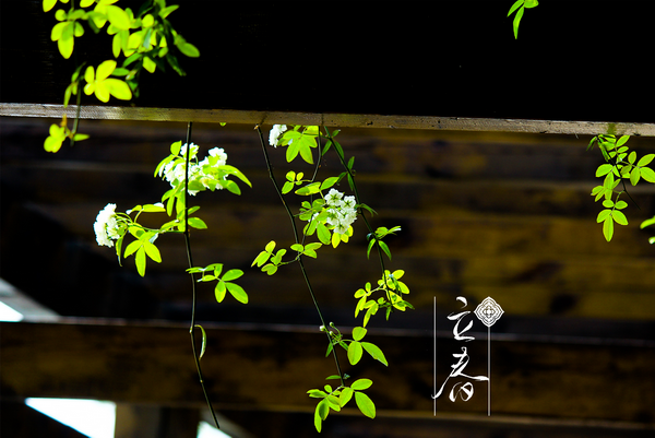 立春.png 立春.png