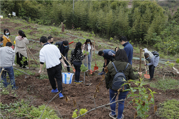 b73bdeab71af0cbf0f8e171a416b1c8e_bcdeb.j