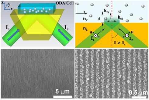 黄小平副教授在纳米材料领域著名期刊《Nanoscale》发表论文