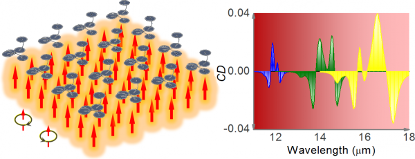 基础院王志明教授团队在纳米领域顶级期刊《纳米快报》上发表论文
