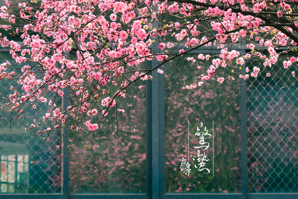 惊蛰.png 惊蛰.png