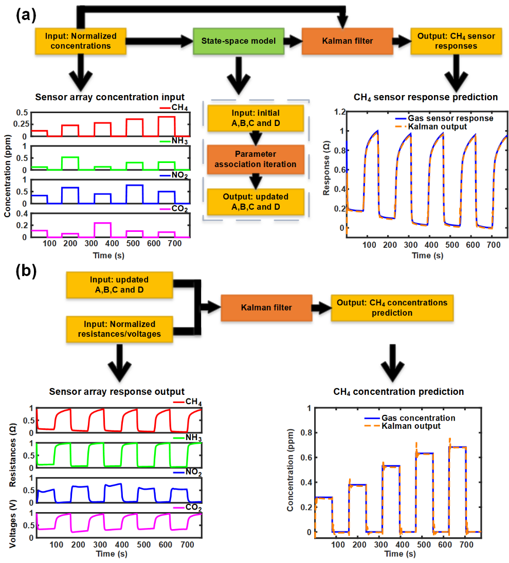 光电学院本科生在一区TOP期刊ACS Sensors发表研究成果