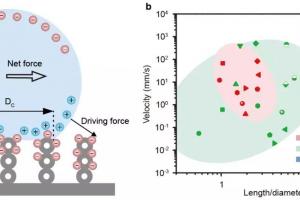 基础院邓旭教授团队在 Nature Materials发表研究成果