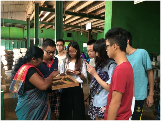 【实践】格拉斯哥学院顺利完成赴斯里兰卡国际支教活动