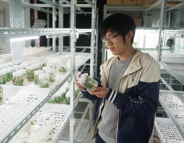 DSC04849.JPG DSC04849.JPG