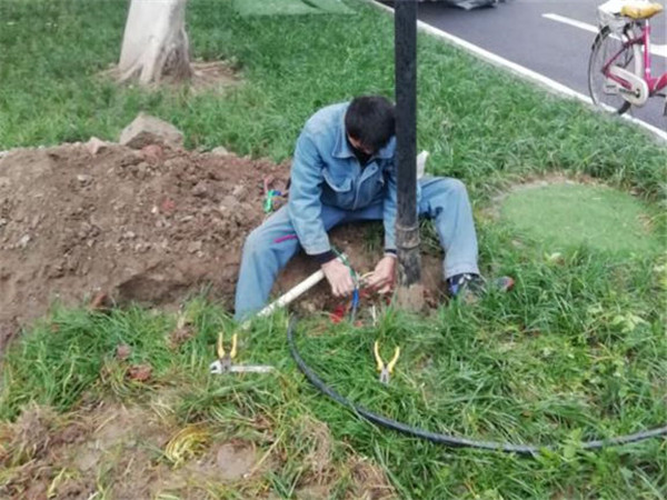 1574327892714094936.jpg 1574327892714094936.jpg