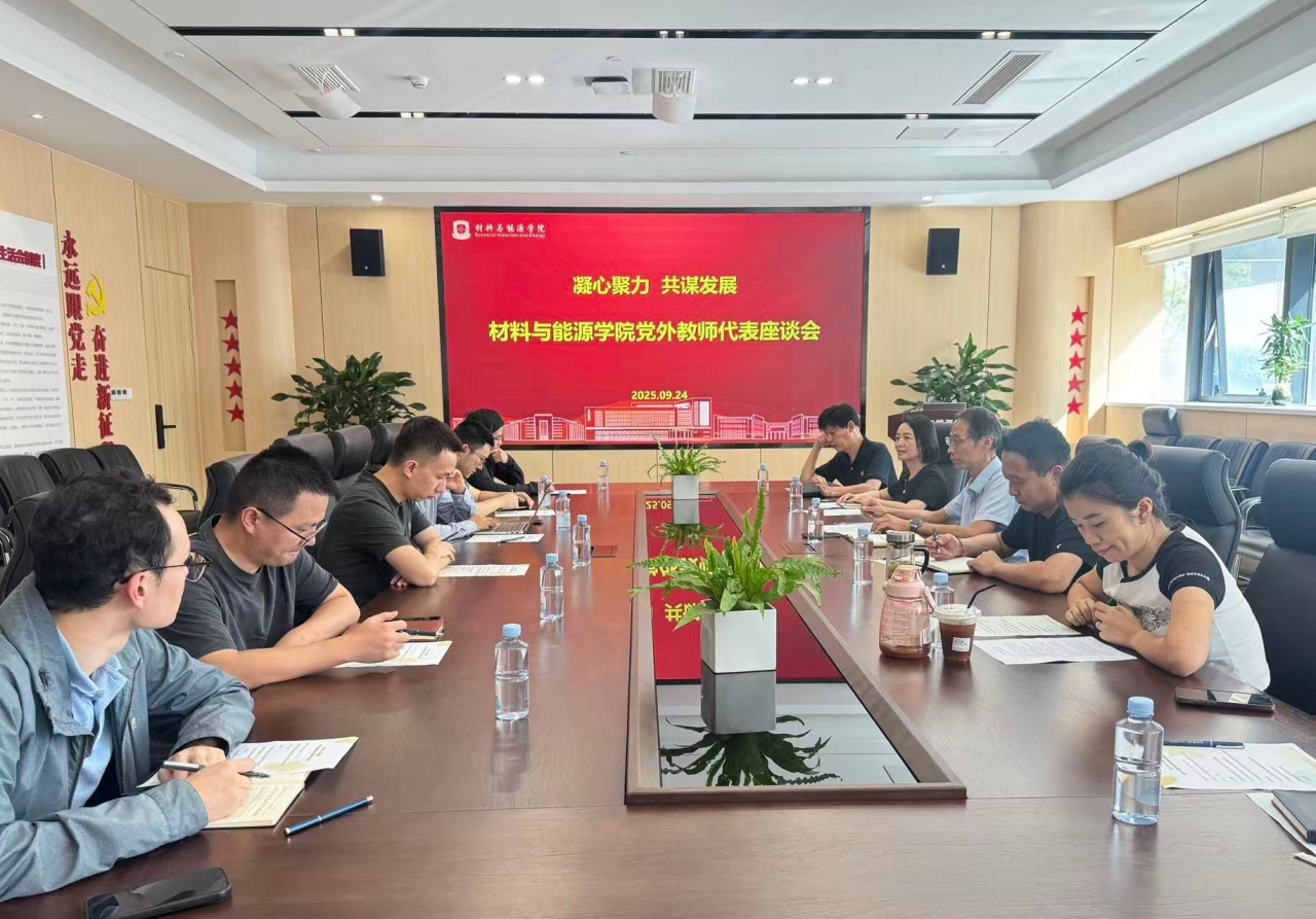 材料学院召开党外教师代表座谈会