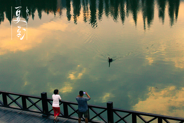 夏至.png 夏至.png