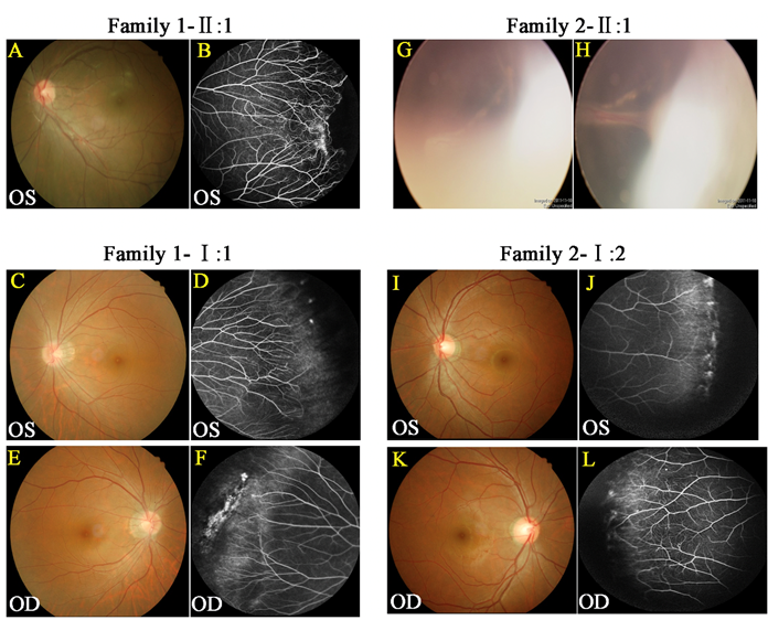 1.png c109d752a898026781298caffe406074_37981.p