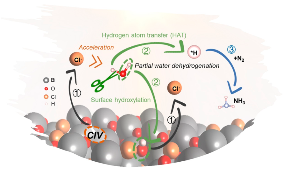 基础院董帆教授团队在光化学氮气固定方向连续发表研究成果