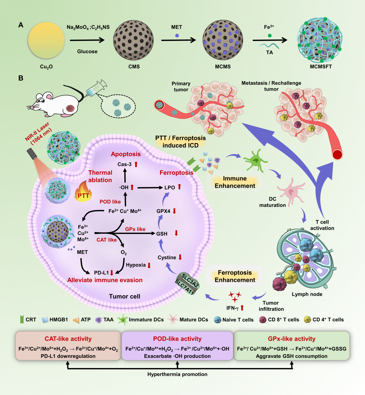 生命学院刘贻尧教授课题组在Science Advances期刊发表论文