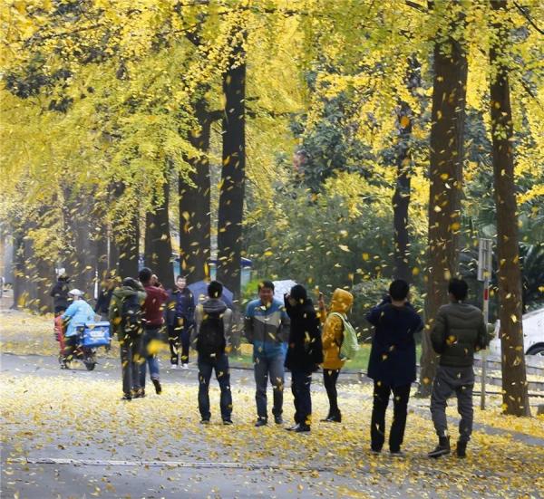 5.jpg c18f99a48ad50ab3802d3a436bdef693.jpg