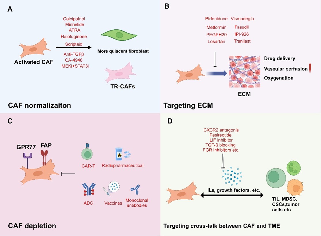 c318ef02327ba629493c1e2a54b0a309_947ce.j
