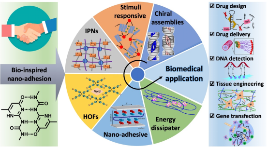 材料学院张亚刚教授团队在国际顶级期刊Chemical Society Reviews发表论文