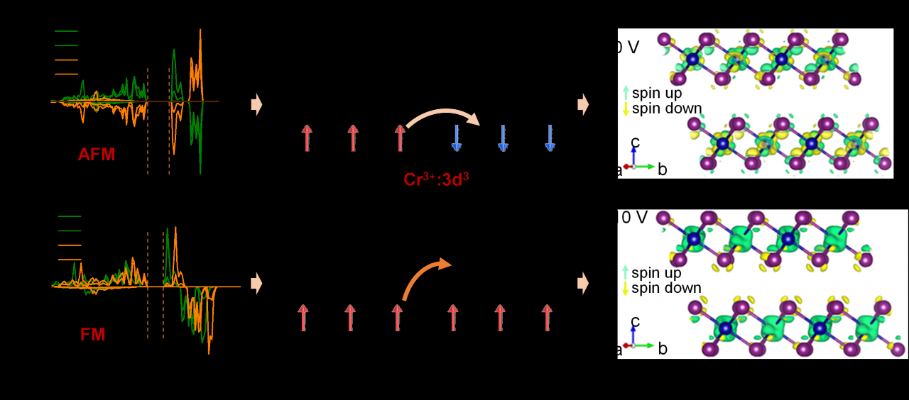 国家工程技术研究中心在二维异质结多铁方向取得重大突破