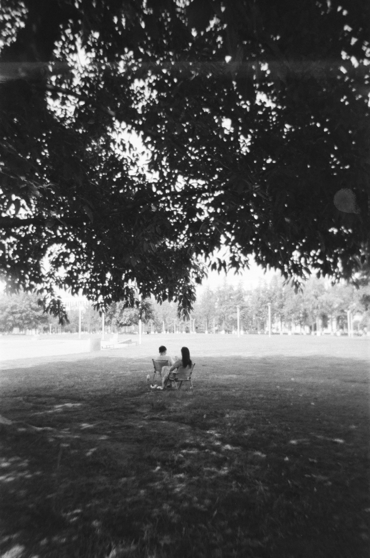 mmexport1687230133863.jpg mmexport1687230133863.jpg