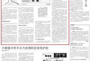 【美丽成电·创新之美】大脑有了“数字孪生兄弟”