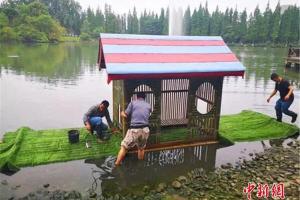 中国新闻社官博：实名羡慕！四川一高校为“校宠”搭建“水上别墅”