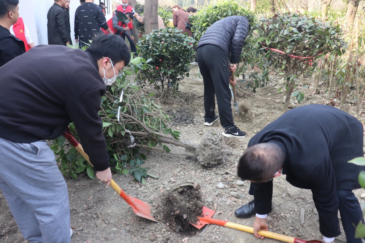 c64af997e5dfb8d4864cd386072765a3_2234b.j