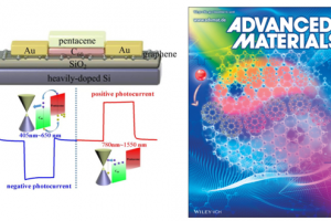 光电学院博士生韩嘉悦在Advanced Materials发表内封面文章