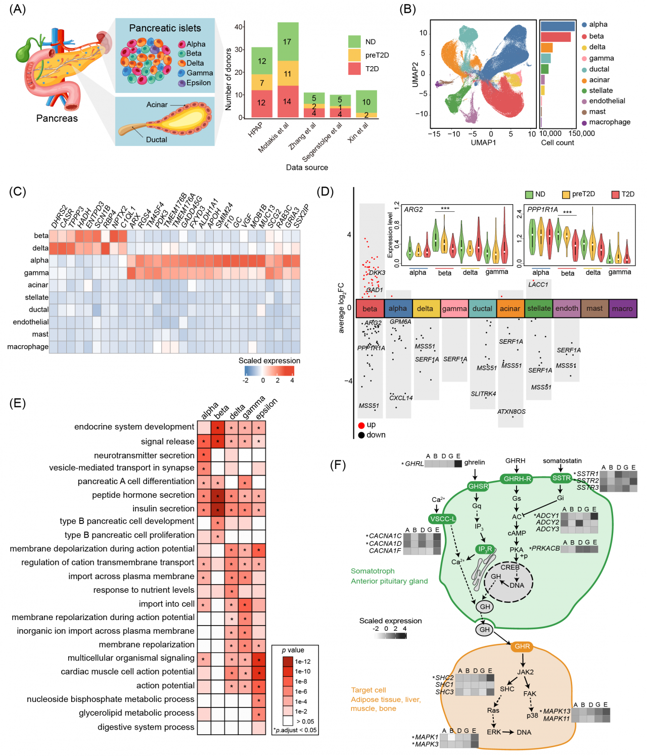 figure2.png figure2.png