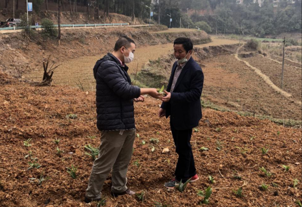 图片10.png 图片10.png