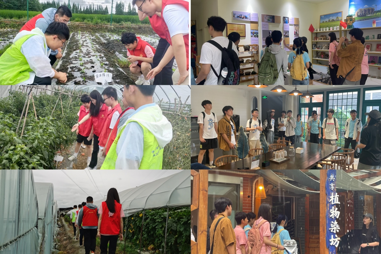 2.jpg c9fbfa3b8e824e4be46e669ca71bd563_e98e5.j