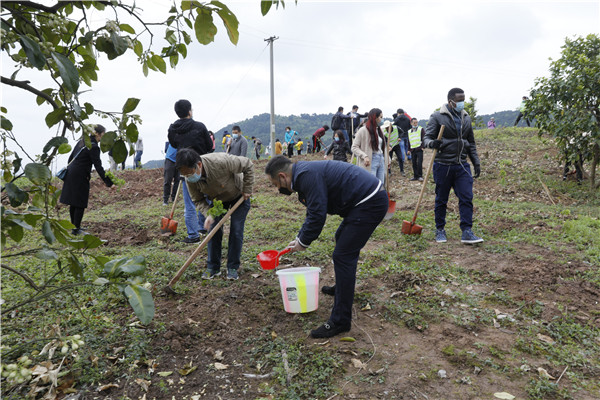 cb24fdd85056f53cdd2f0551a1e6901a_bcdeb.j