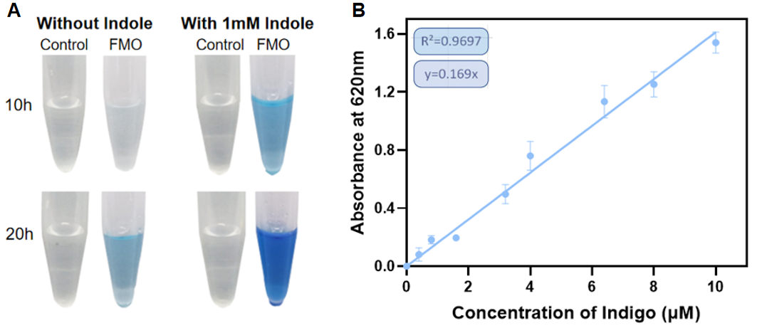 利用大肠杆菌降解吲哚生产靛蓝的部分结果图.png cb508547e501a1c87ae24a0c7293458d_403fd.p