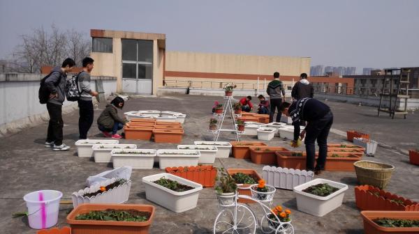 心理健康教育中心推出“美丽心田”园艺健心体验