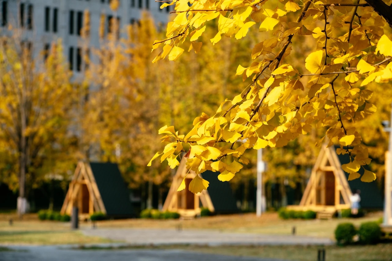 mmexport1680176366609.jpg cd32de3815149df6449429c2af682a6f.jpg