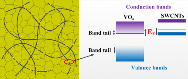光电学院许向东教授团队在ACS Photonics等发表多篇研究成果