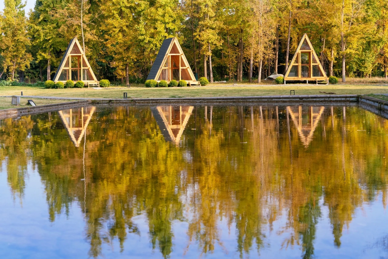 mmexport1680176361953.jpg cfabe88269c7fa4d85d5cbb3f85104d1.jpg