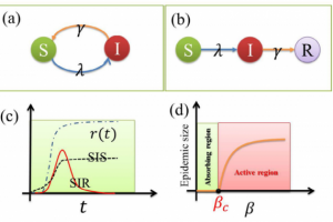 大数据研究中心周涛教授团队在《物理学进展报告》发表综述论文
