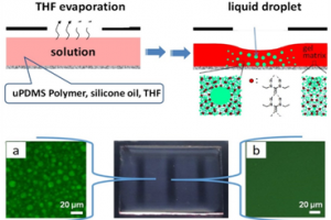 基础与前沿研究院崔家喜教授和邓旭教授合作团队在化学类顶级期刊《Angewandte Chemie》上发表论文