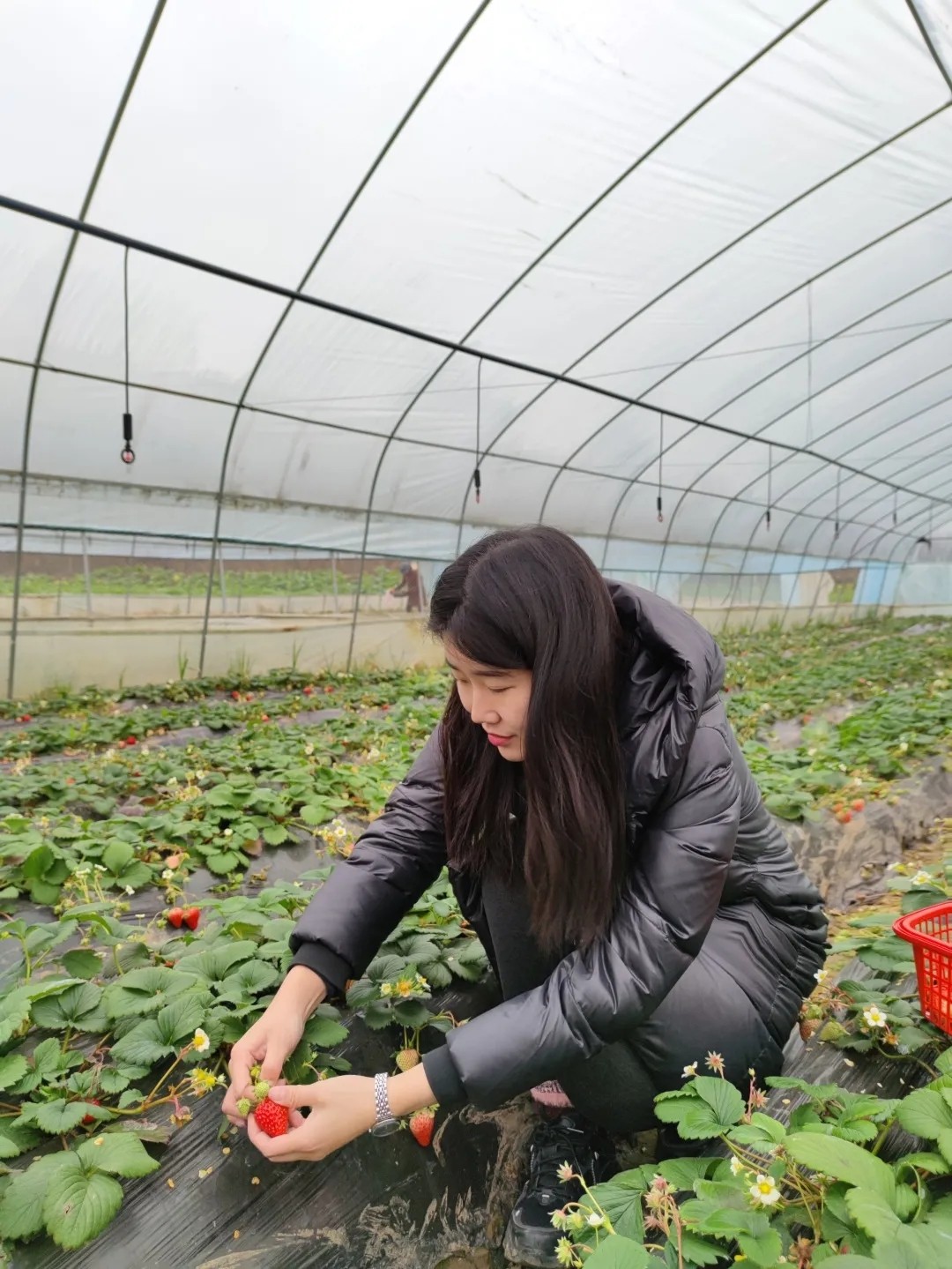 mmexport1649935540208.jpg mmexport1649935540208.jpg