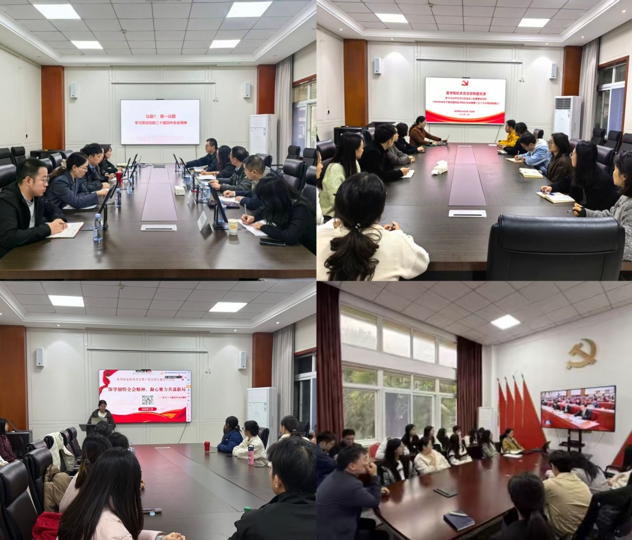 医学院师生深入学习贯彻党的二十届四中全会精神