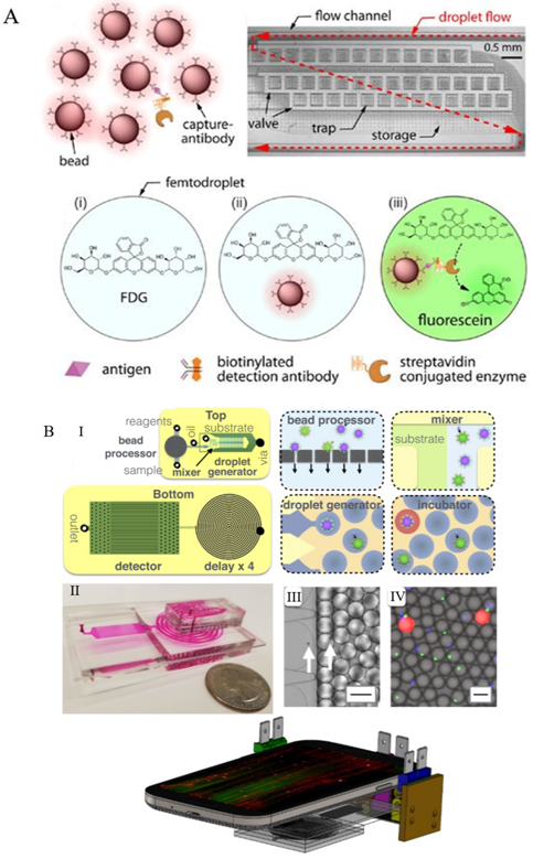 格拉斯哥学院2020级本科生在分析化学知名期刊发表论文