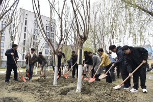 “成电‘青’春添新绿 携手共绘生态卷”植树节活动举行