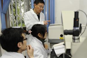 蒋亚东教授团队获国家自然科学基金创新研究群体资助