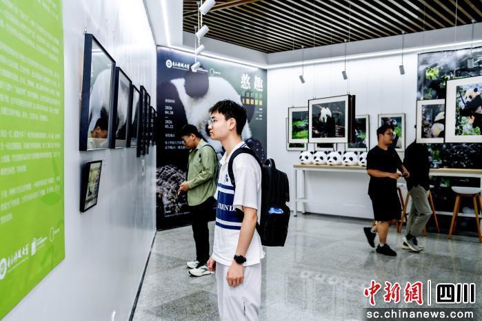 中新网四川：电子科技大学“美遇空间”首展启幕 熊猫主题摄影展亮相教学楼